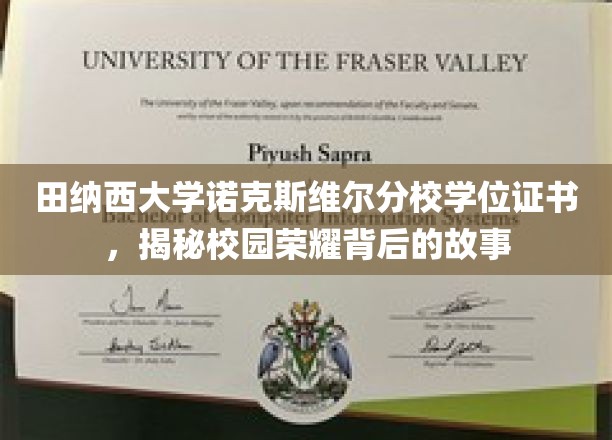探寻田纳西大学荣耀学位背后的传奇故事