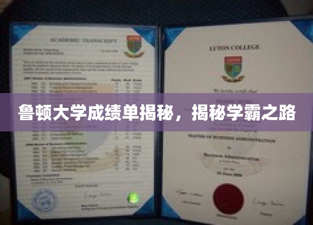 鲁顿大学成绩单深度解析，揭秘学霸养成之路