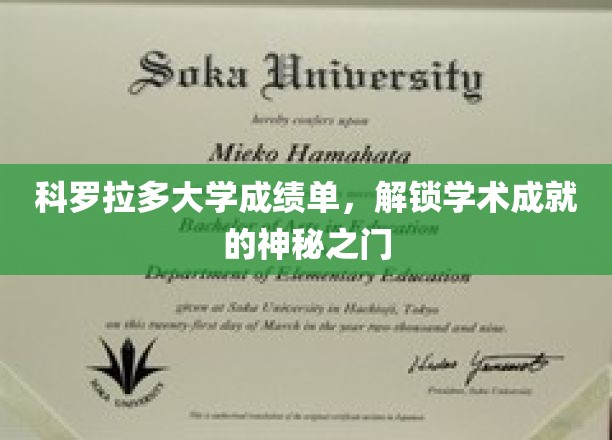 科罗拉多大学成绩单，解锁学术成就的神秘之门