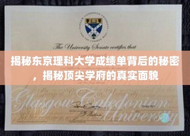 揭秘东京理科大学成绩单背后的秘密，揭秘顶尖学府的真实面貌