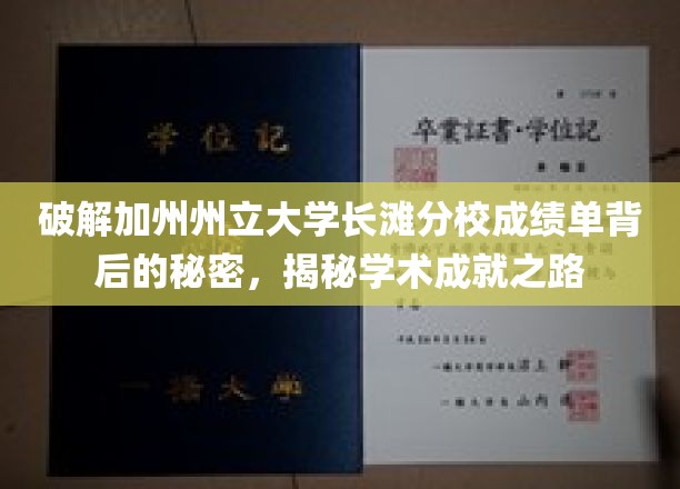 解锁加州州立大学长滩分校成绩单密码，探索学术辉煌的奥秘之旅