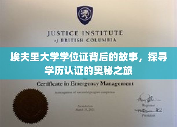 解码埃夫里大学学位证，一场揭秘学历认证旅程的深度揭秘