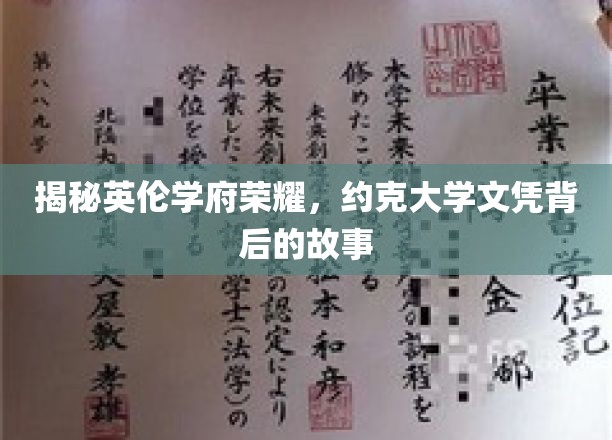 探寻约克大学荣耀，揭开国际文凭背后的传奇之路