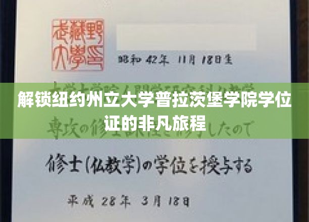 踏上纽约州立大学普拉茨堡学院学位证的卓越之旅
