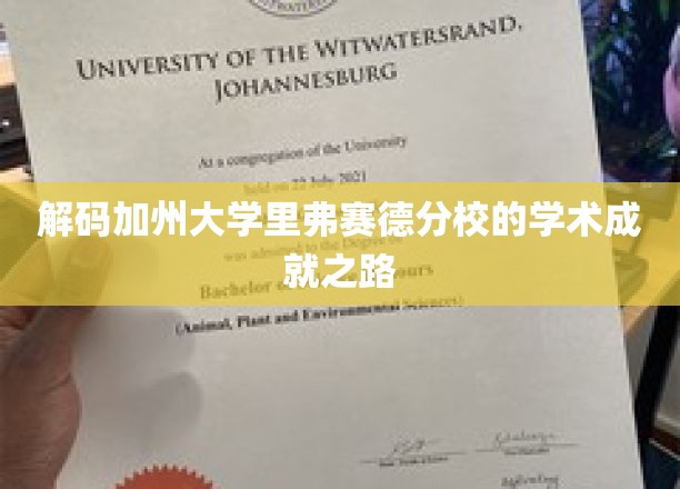 探索加州大学里弗赛德分校的辉煌学术奥秘