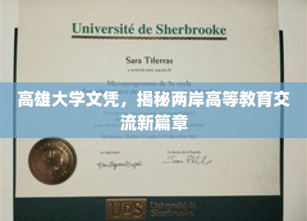 高雄大学文凭，见证两岸高等教育交流新里程