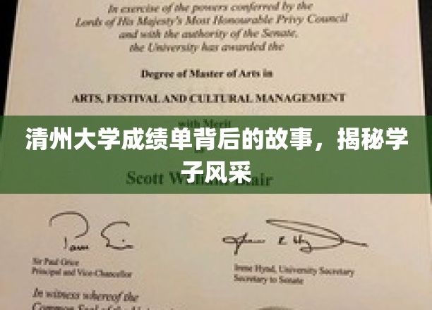 清州大学成绩单映照下的青春风采，一窥学子风采背后的故事