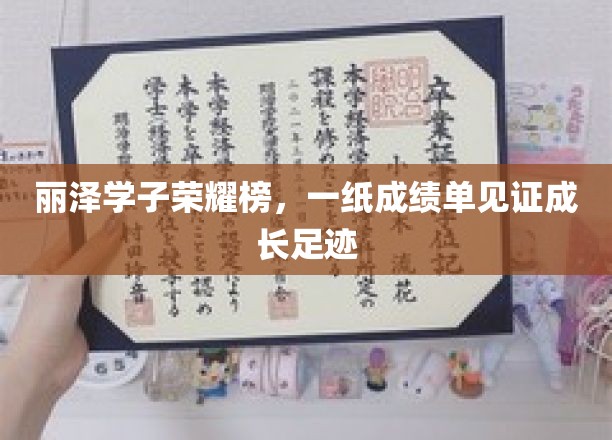 丽泽学子荣耀榜，一纸成绩单见证成长足迹