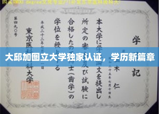 大邱加图立大学新里程，独家认证学历引领未来