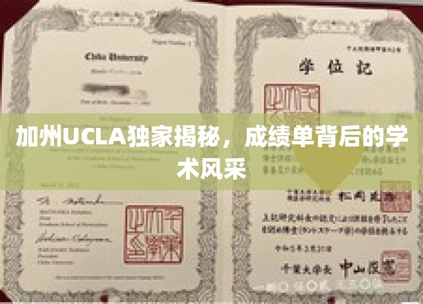 加州UCLA独家揭秘，成绩单背后的学术风采