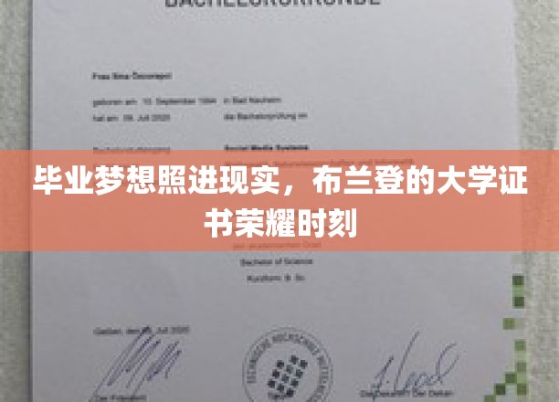 毕业梦想照进现实，布兰登大学的荣耀时刻