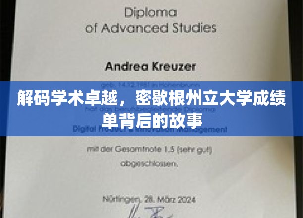 解码学术卓越，密歇根州立大学成绩单背后的故事