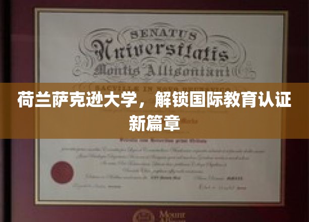 跨国教育新里程，荷兰萨克逊大学引领认证创新潮