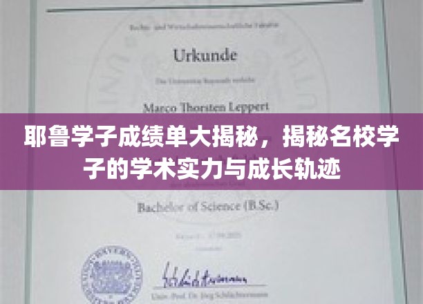 耶鲁学子成绩单大揭秘，揭秘名校学子的学术实力与成长轨迹