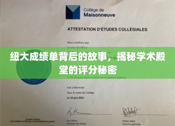 探寻纽大成绩单背后的传奇，解码顶尖学府的评分奥秘