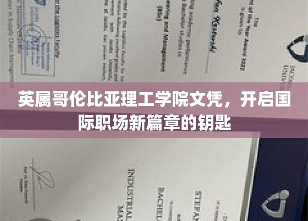 英属哥伦比亚理工文凭，解锁全球职场新机遇