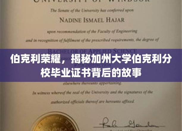 探寻伯克利传奇，揭秘加州大学伯克利分校毕业证书的荣耀历程