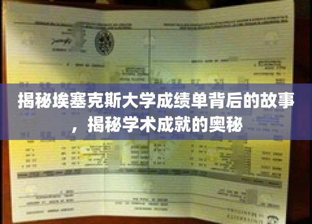 埃塞克斯大学成绩单背后，探寻学术辉煌的秘密通道