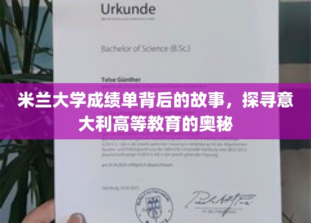 揭秘米兰大学成绩单，一窥意大利高等教育的独特魅力
