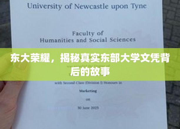 东部大学文凭风云，东大荣耀背后的真相揭晓