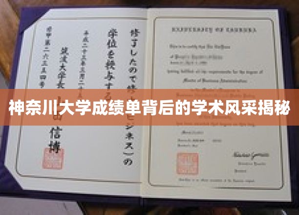 探寻神奈川大学成绩单背后的学术魅力之光