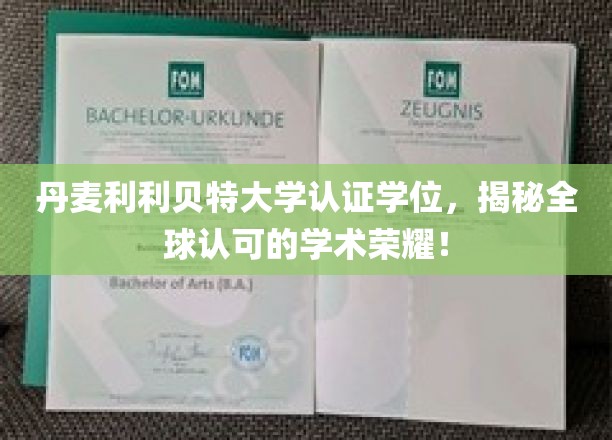 丹麦利利贝特大学学位荣耀全球，揭秘学术成就新标杆！