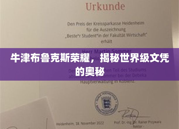 解码牛津布鲁克斯，探寻国际文凭背后的荣耀之路