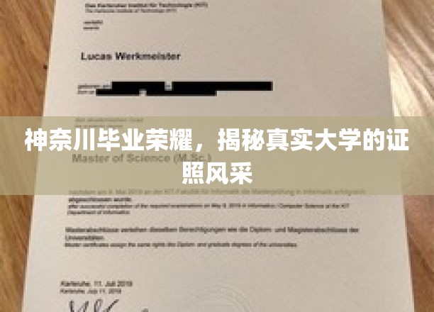 神奈川毕业荣耀，一窥真实大学的证照风采