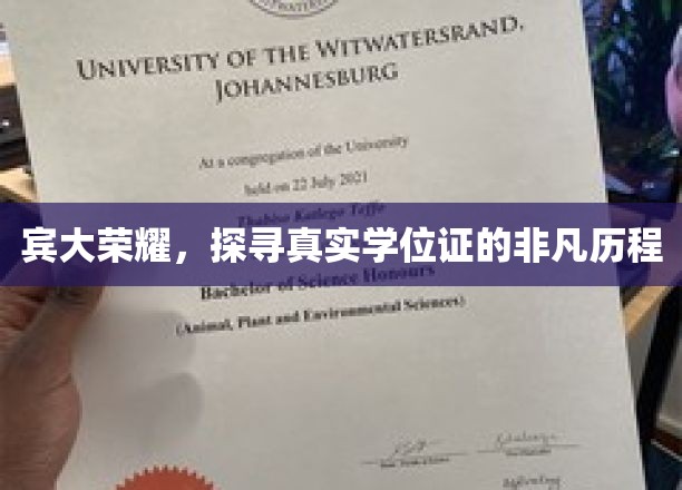 宾大荣耀，探寻真实学位证的非凡历程