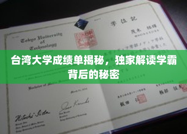 台大学霸养成记，揭秘台湾大学成绩单背后的学习秘籍