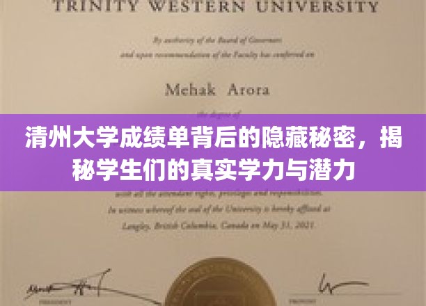 揭开清州大学成绩单神秘面纱，一窥学子实力与成长潜力