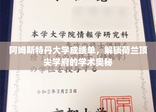 阿姆斯特丹大学成绩单，揭示荷兰顶尖学府的学术精髓