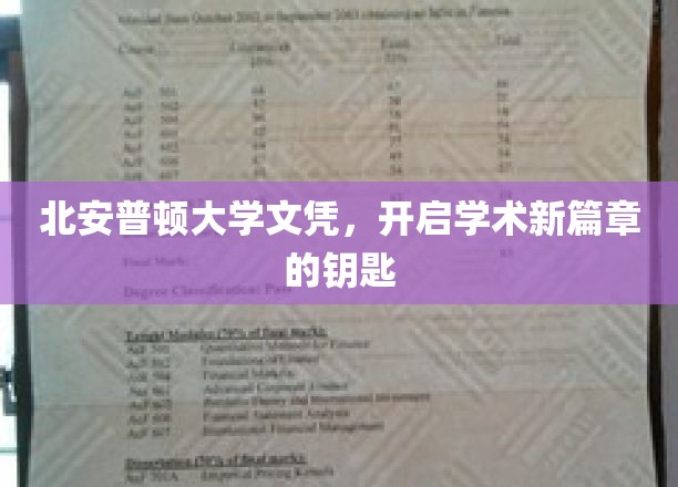 北安普顿大学文凭，开启学术新篇章的钥匙