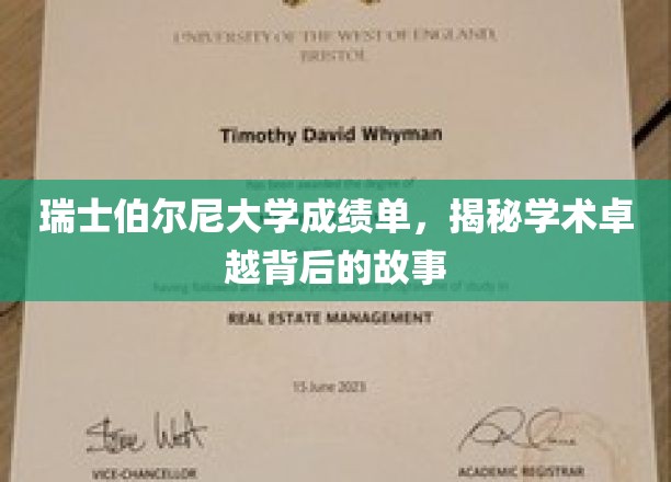 瑞士伯尔尼大学成绩单，揭示学术卓越背后的故事