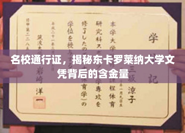 名校通行证，揭秘东卡罗莱纳大学文凭背后的含金量