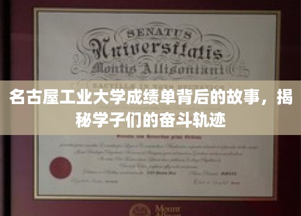名古屋工业大学成绩单背后的故事，揭秘学子们的奋斗轨迹