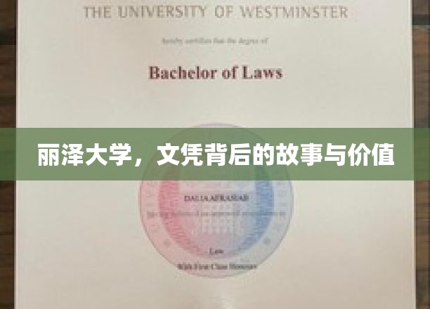 丽泽大学，文凭背后的故事与价值