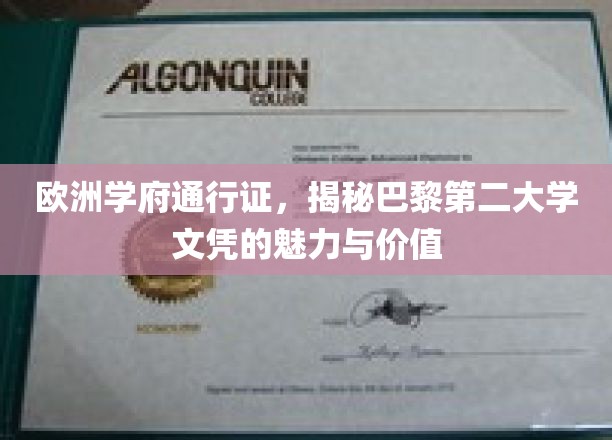 欧洲精英教育通行证，巴黎第二大学文凭的非凡魅力与无限价值