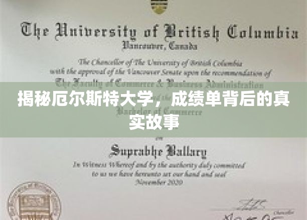 揭秘厄尔斯特大学，成绩单背后的真实故事