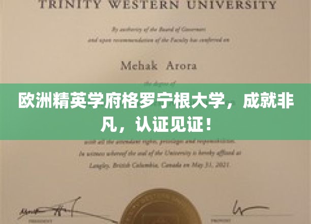 格罗宁根大学，精英摇篮，非凡成就，权威认证展辉煌