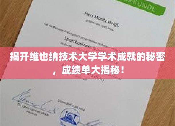 探寻维也纳技术大学卓越成就背后的神秘力量