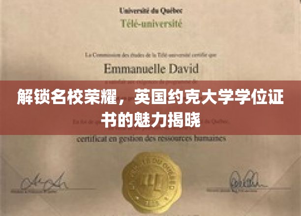 探寻约克大学荣耀，学位证书背后的独特魅力