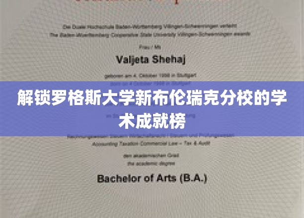 探秘罗格斯大学新布伦瑞克分校，闪耀的学术辉煌盘点