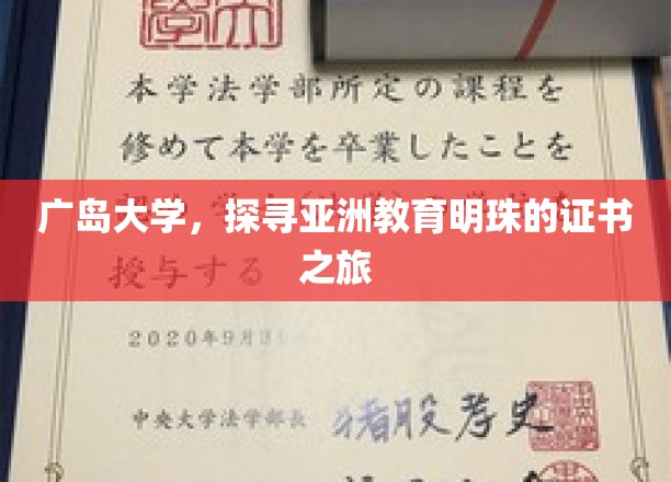 广岛大学之旅，亚洲教育璀璨明珠的见证之旅