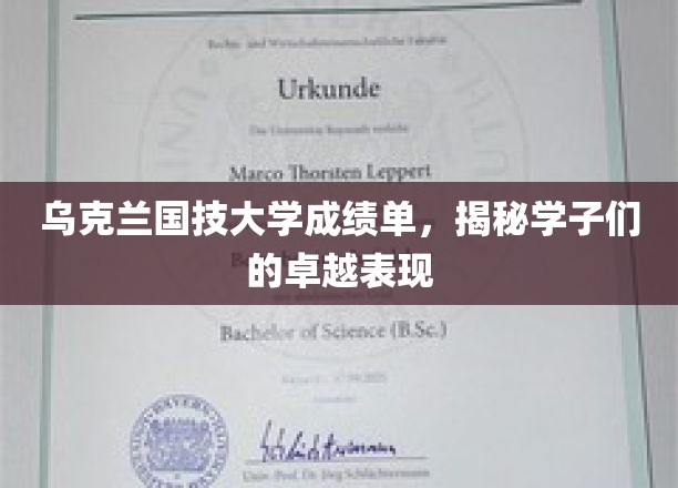 乌克兰国技精英展风采，学子成绩单彰显卓越实力
