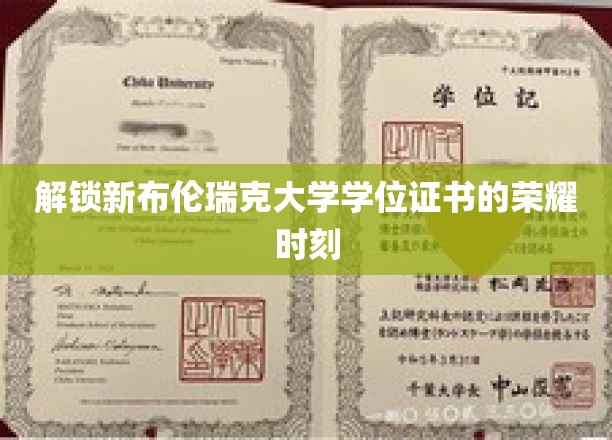 解锁新布伦瑞克大学学位证书的荣耀时刻