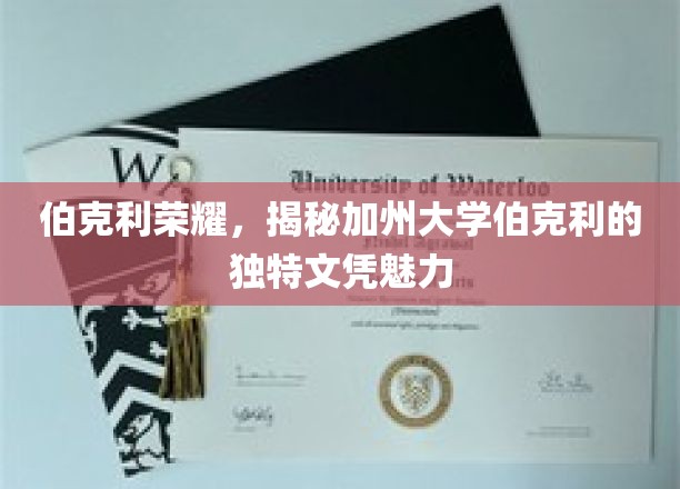 探索伯克利传奇，解码加州大学伯克利的非凡学位吸引力