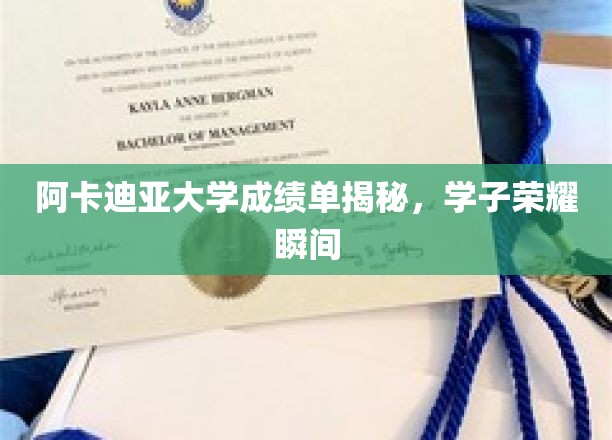 阿卡迪亚学子荣耀榜，揭秘大学成绩单背后的辉煌瞬间