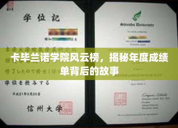 解码卡毕兰诺学院风云榜，揭秘年度成绩单背后的精彩篇章