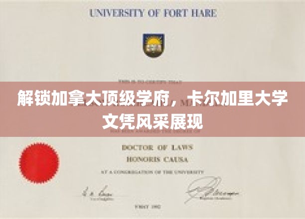 加拿大名校荣耀，卡尔加里大学学位魅力绽放